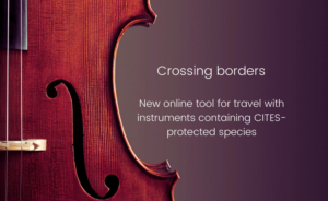 Viajar con instrumentos musicales respetando la normativa CITES