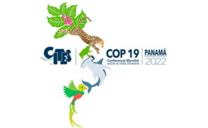 CITES CoP19: se mantiene el Pernambuco en el Apéndice II