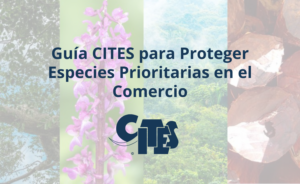 Guía CITES para Proteger Especies Prioritarias en el Comercio